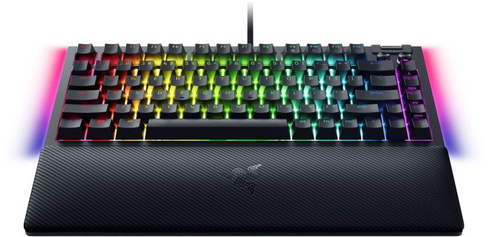 Клавиатура Razer BlackWidow V4 75% RGB 83key Mechanical Tactile Switch GEN-3, USB-A, EN, чёрный