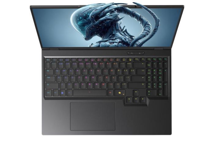 Dream Machines Notebook RX5090-16 16WQXGA, Intel U9-275HX, 32GB, F2TB, NVD5090-24, DOS, black