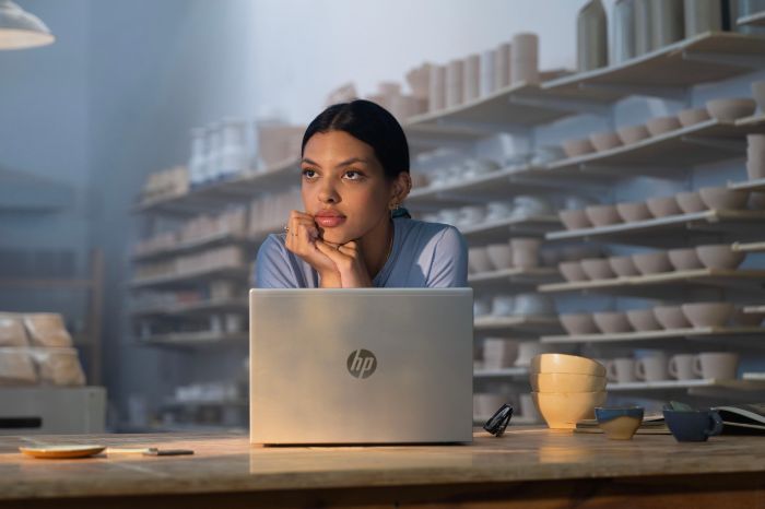 Ноутбук HP Probook 4-G1a 14" WUXGA IPS, AMD R5-230, 24GB, F1TB, UMA, Win11P, сріблястий