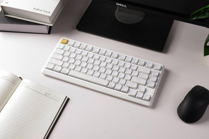 Клавіатура механічна Keychron J1 82Key, K pro Brown, WL/BT/USB-A, QMK, Hot-swap, EN/UKR, RGB, білий